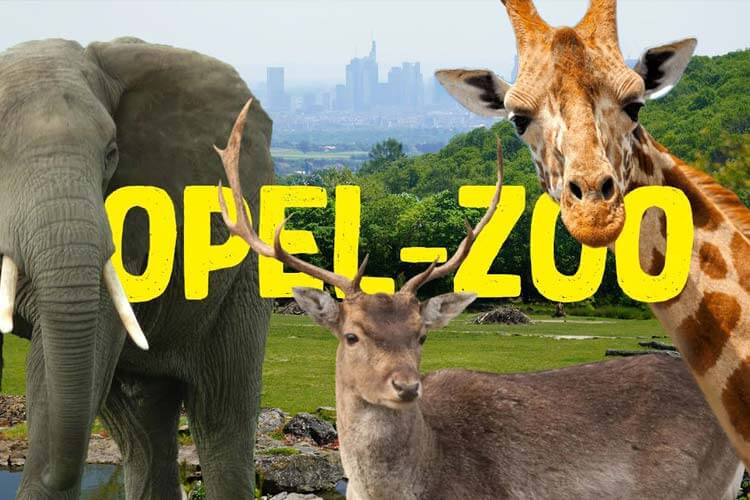 Opel Zoo - Der Zoo im Grünen